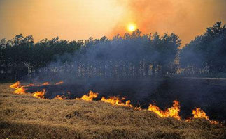 Ҫ̨ȾۺˡָӰ͡ʱ